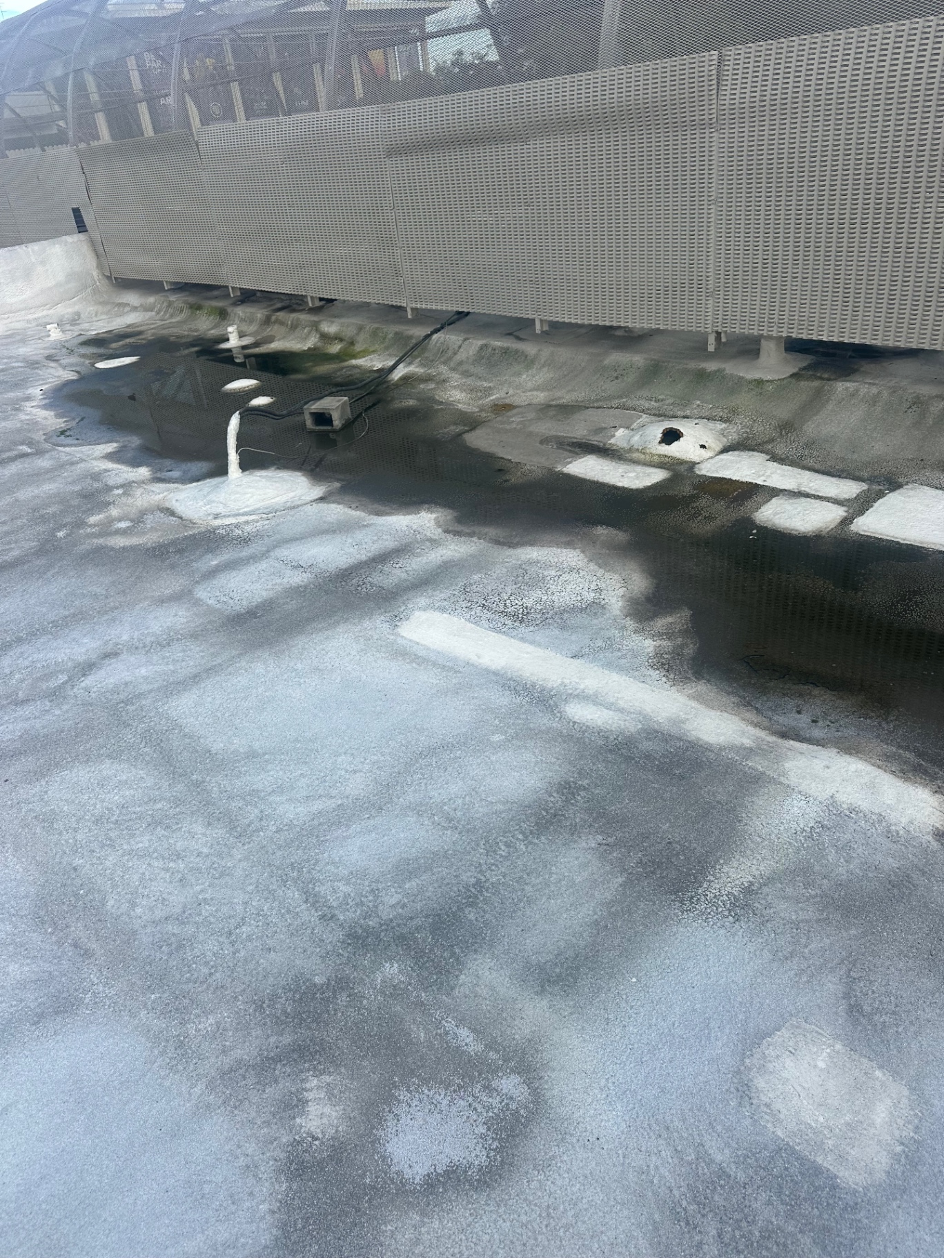 Standing water beside a rooftop screen wall on a San Diego commercial building