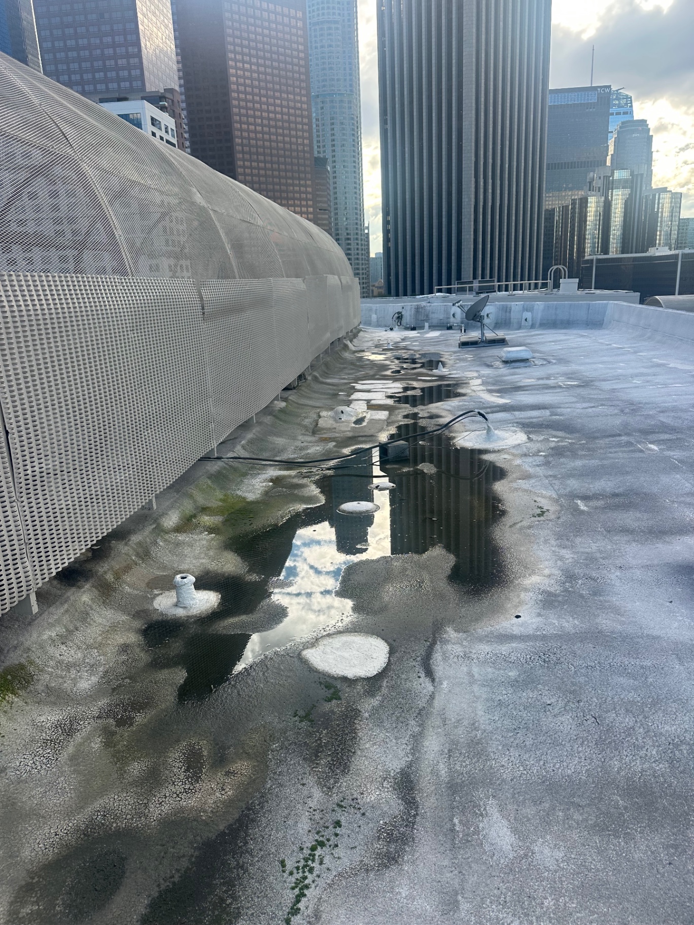 Standing water at the parapet edge of a downtown San Diego flat roof