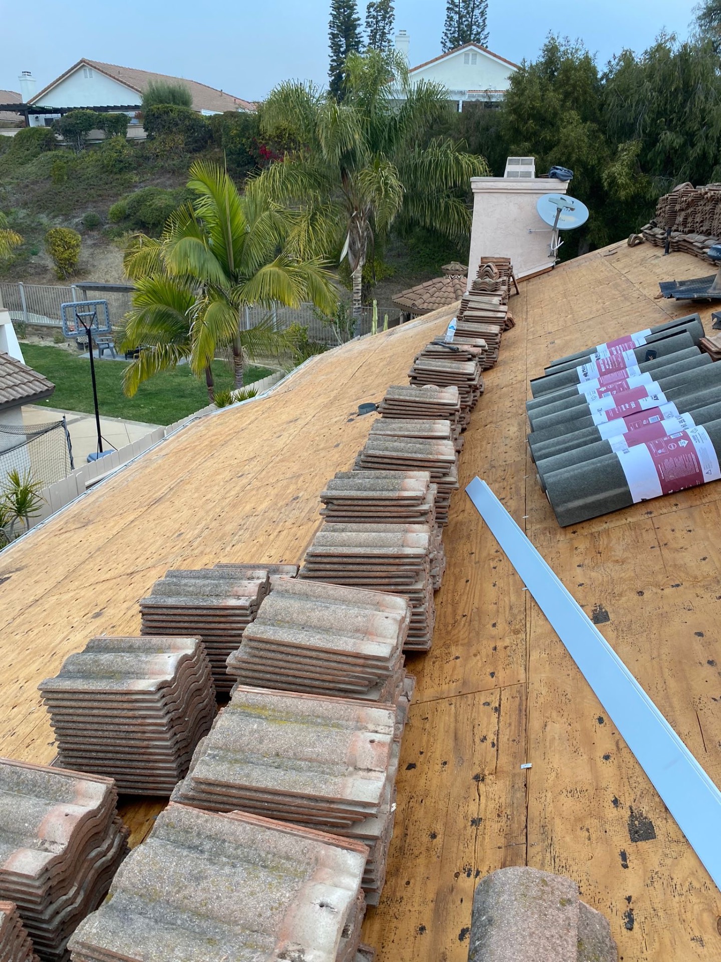 Exposed plywood roof deck inspected during a San Diego tile roof lift and relay