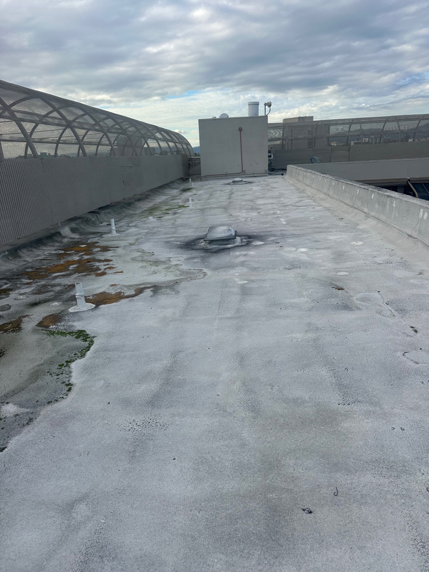 Aged commercial flat roof membrane with organic growth in San Diego