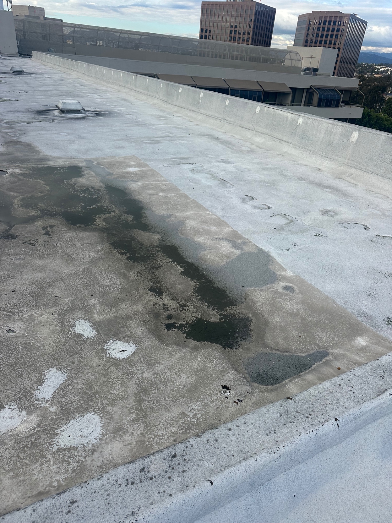 Ponding water on a downtown San Diego commercial flat roof during inspection